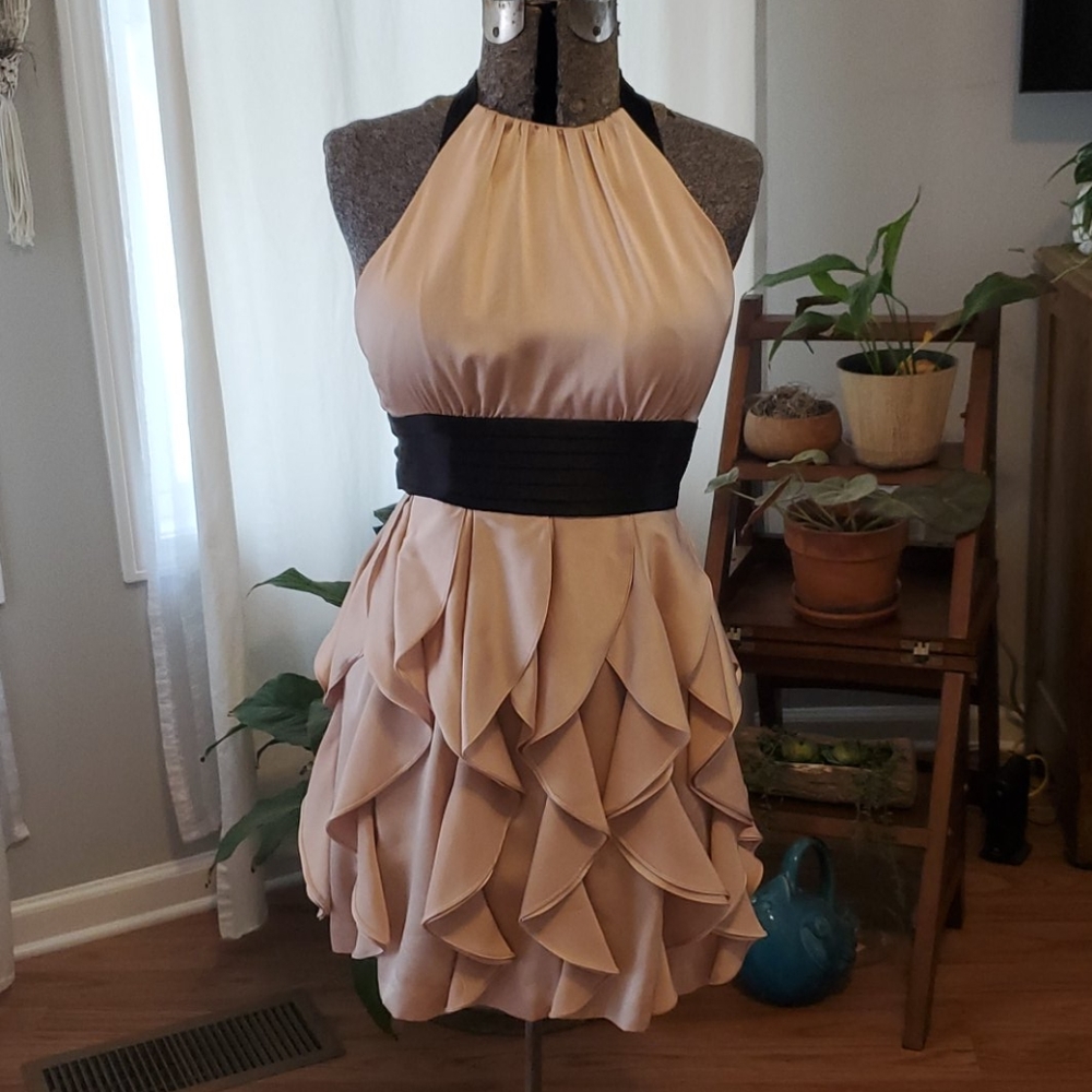 BCBG dress